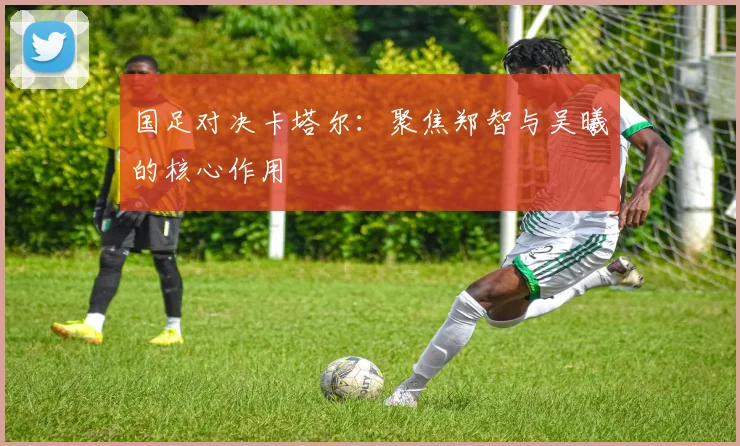 国足对决卡塔尔：聚焦郑智与吴曦的核心作用