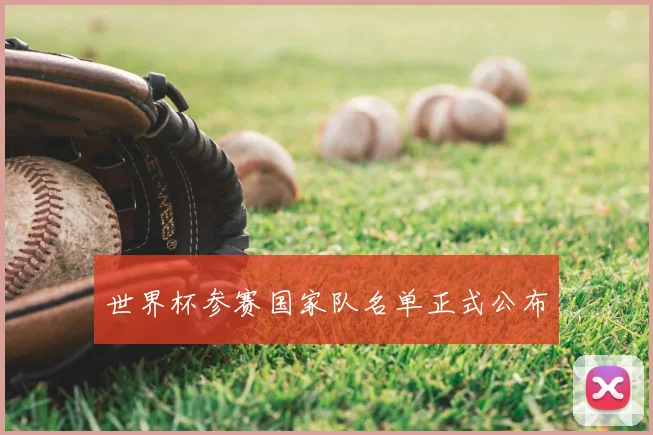世界杯参赛国家队名单正式公布